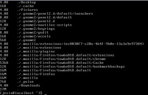 linux-du-command-h-parameter