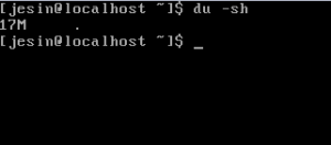 linux du command sh parameter