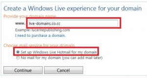 setup windows live custom domains enter domain