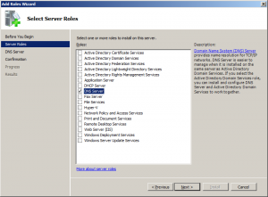 add server roles dns