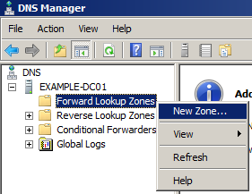 create new forward lookup dns zone