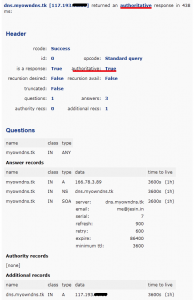 authoritative dns response