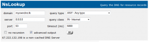 dns query