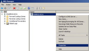 dns server properties