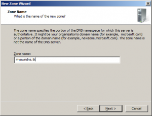 dns zone name domain