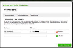 domain panel glue records